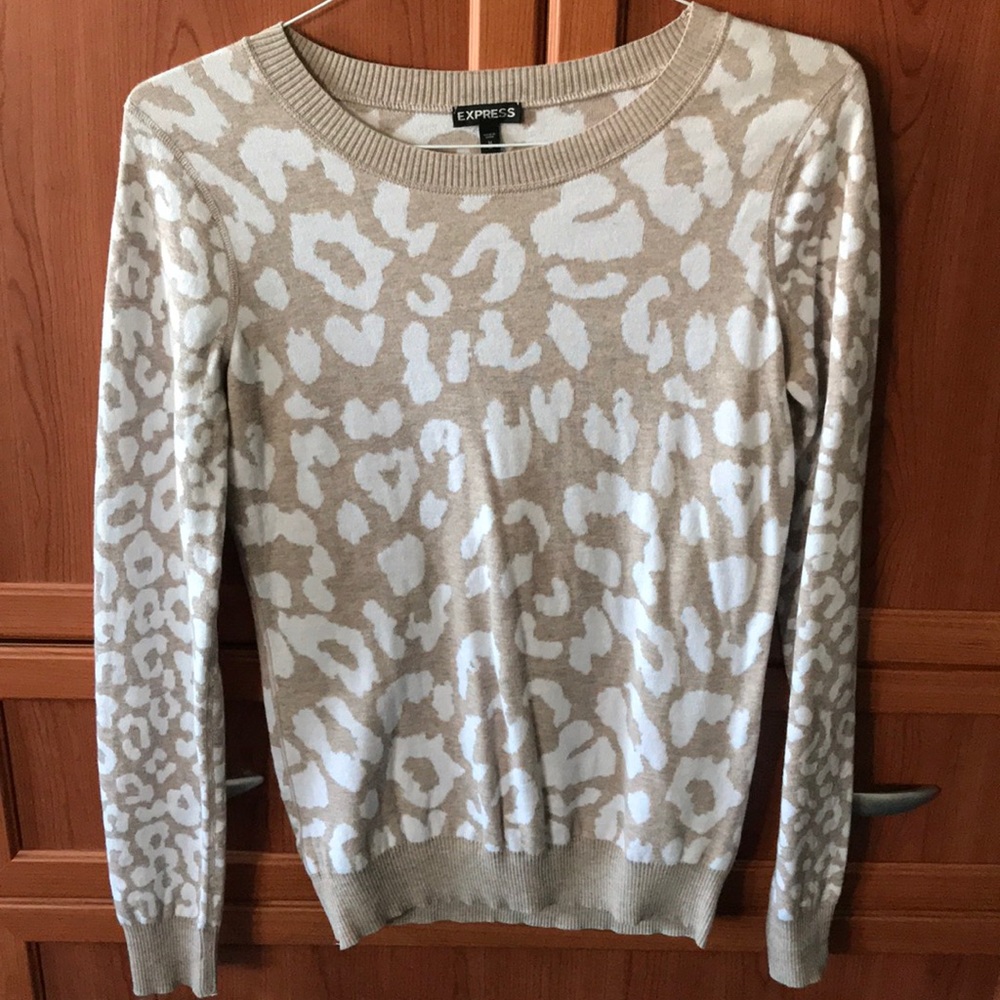 Express sweater